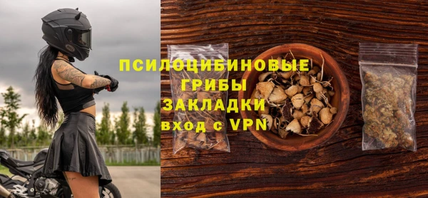 COCAINE Богородицк