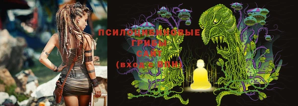 COCAINE Богородицк