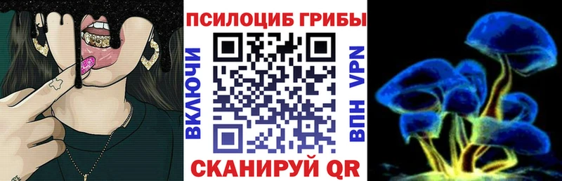 Галлюциногенные грибы мухоморы  Берёзовский 