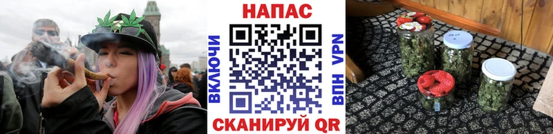 продажа наркотиков  Берёзовский  Канабис сатива 